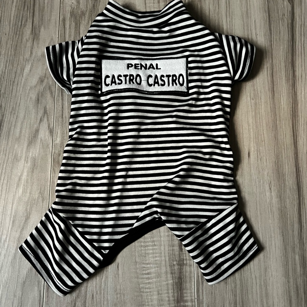 Adorable Prison Outfit for Dogs